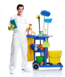 How to Clean your Carpet by Hand